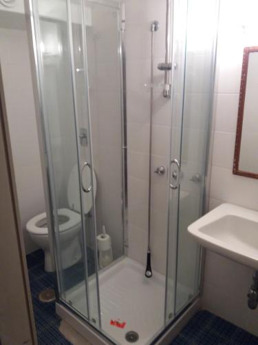 a bathroom with a shower with a toilet and a sink at Rifugio Di Pace in Folgaria