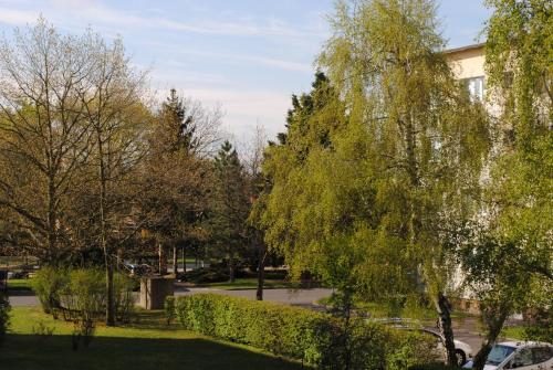 ツヴェンカウにあるSüdwindappartementの木々と建物のある公園の景色
