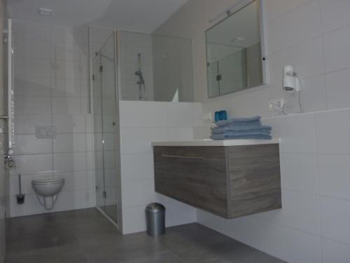 バート・アプバッハにあるGästehaus Lodermeierのバスルーム(洗面台、トイレ、鏡付)