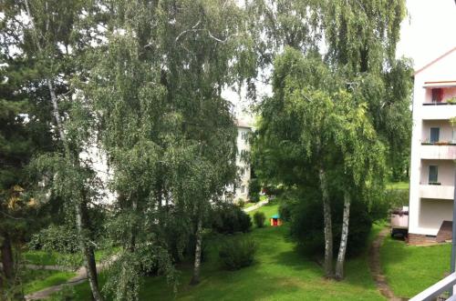カッセルにあるアスク ルームズ プリヴァートツィマー イン カッセルの木々と建物のある庭の景色