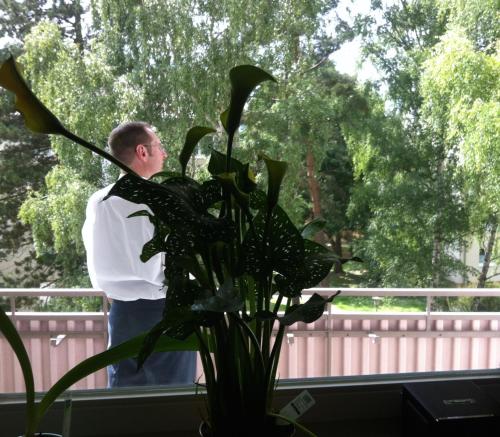 un hombre de pie junto a un jarrón con una planta en ask rooms Privatzimmer in Kassel en Kassel