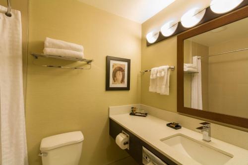 a bathroom with a sink and a toilet and a mirror at The Kanata Inns Invermere in Invermere