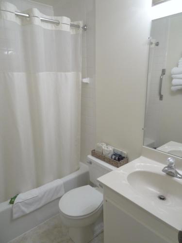 Bilik mandi di Amish Country Motel