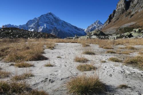 a desert field with a mountain in the background at Rooms Alpe Veglia-Varzo in Varzo
