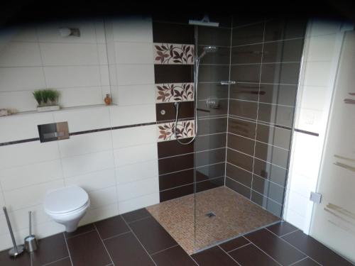 La salle de bains est pourvue d'une douche et de toilettes. dans l'établissement Haus Fernblick, à Breitungen