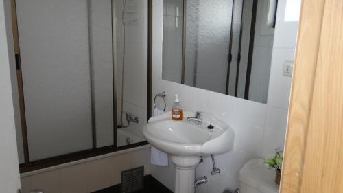 Baño blanco con lavabo y espejo en HelChiloé Aparthotel en Castro