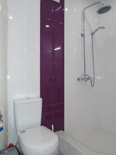a bathroom with a toilet and a shower at Apartment ANI in Vagharshapat