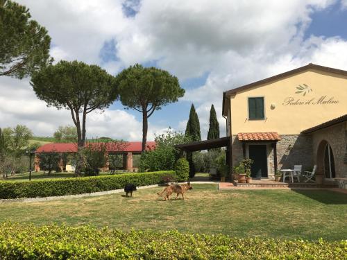 Taman di luar Podere Il Mulino