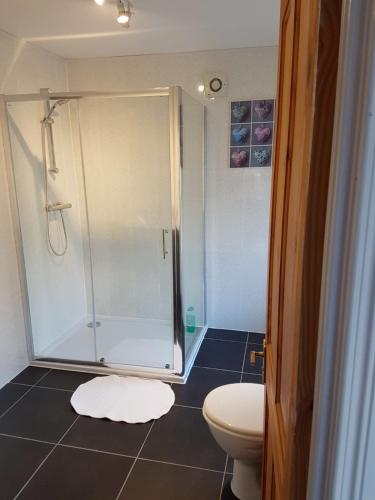 a bathroom with a shower and a toilet at Titanic History Private Home in Belfast