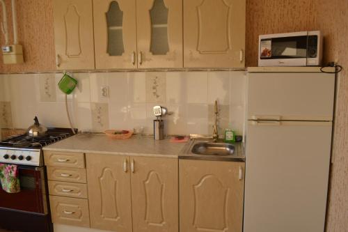 アルザマスにあるApartment Plandina 27aのキッチン(白い冷蔵庫、シンク付)