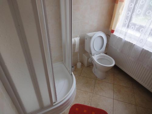 a small bathroom with a toilet and a shower at Penzion Horalka in Hlinsko