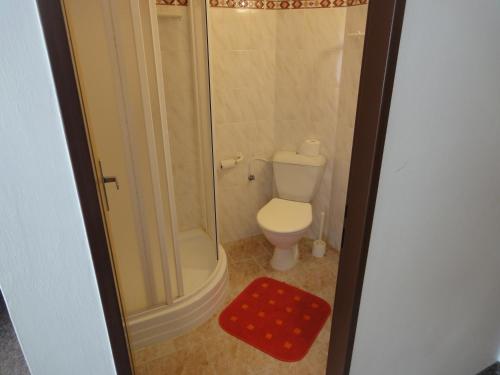 a bathroom with a shower with a toilet and a red rug at Penzion Horalka in Hlinsko