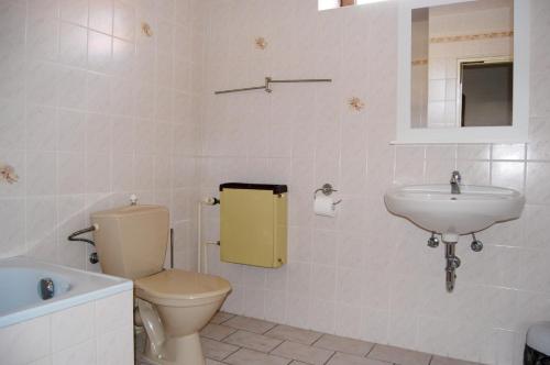 ein Bad mit einem WC und einem Waschbecken in der Unterkunft Pension U Dubu in Franzensbad