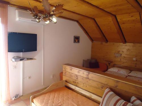 TV a/nebo společenská místnost v ubytování Apartments Kristic