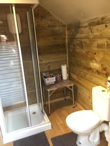 a bathroom with a shower and a toilet at Hesperus Lodge in Wellington