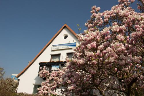 a magnolia tree in front of a white building at Pension König in Kassel