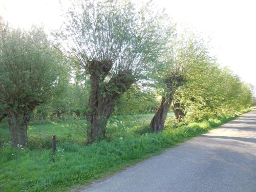 Un paisaje natural cerca of the bed and breakfast