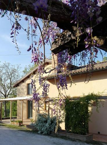 a house with purple flowers on the side of it at B&B Antegiano in Belforte del Chienti