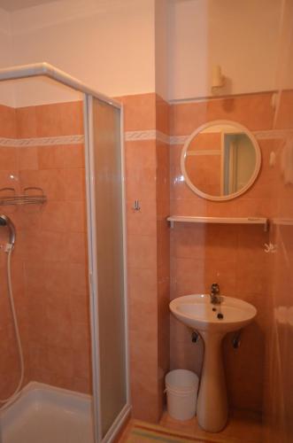 a bathroom with a shower and a sink and a mirror at Apartments Tonka in Mošćenička Draga