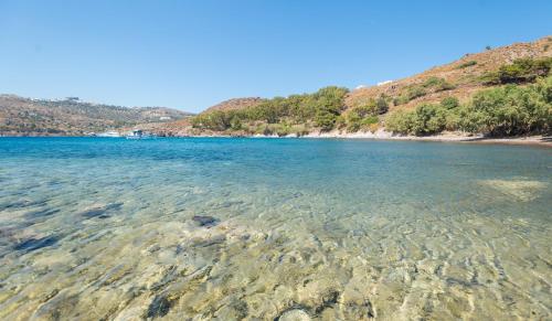 a view of a beach with clear water and trees at Villa Patmos Netia in Patmos