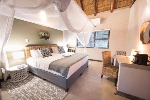 Bushbaby River Lodge في هويدزبروت: غرفة نوم بسرير وطاولة ومكتب