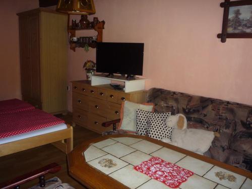 a living room with a couch and a tv at Ubytovani Eden in Dlouhá Ves