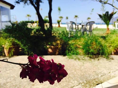 Gallery image of Kompleksi Turistik EDIR in Orikum