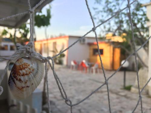 Gallery image of Kimera Beach Apartments in Vieste