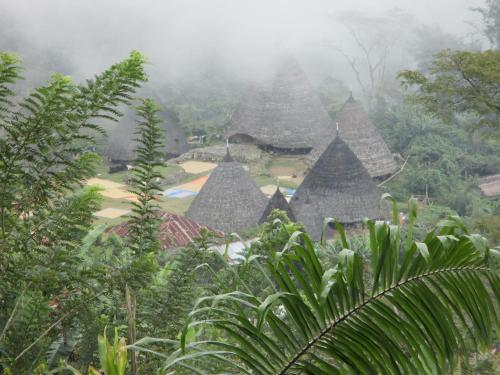 a view of a temple in the jungle with trees at MJR Ticketing Guest House in Ruteng