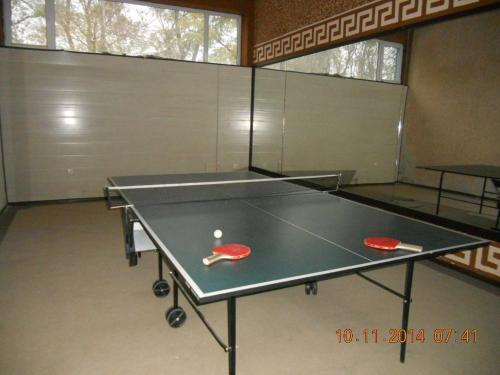 a ping pong table with two ping pong balls on it at Family Hotel Helios in Sevlievo