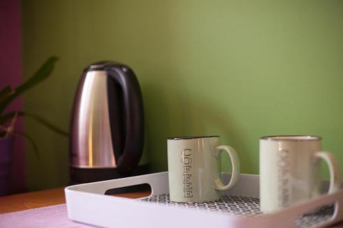 Apartment & Room Ursa