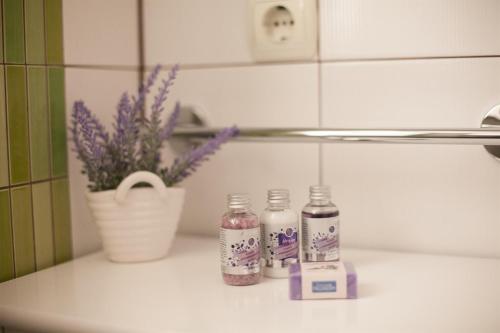 a bathroom counter with two bottles of soap and a potted plant at Apartment & Room Ursa in Trogir