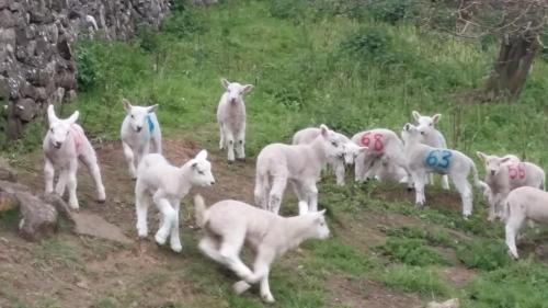 Bishops Farm – Photos 5