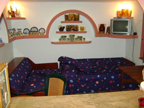 un soggiorno con divano e TV di Casa de Vacanta Pravdencu a Mahmudia