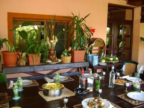 Una mesa con platos de comida y plantas en macetas. en Casa de Vacanta Pravdencu, en Mahmudia