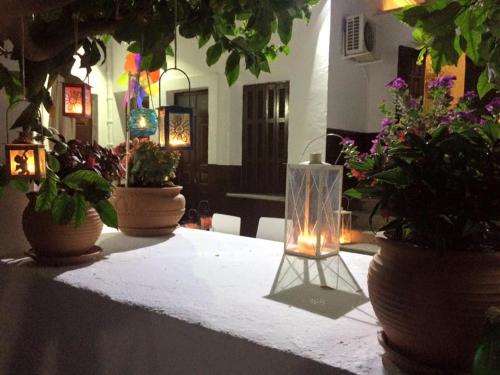 a table with potted plants and a candle on it at Villa Elena in Líndos