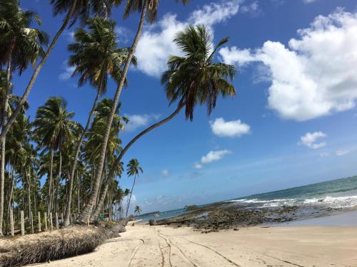 a beach with palm trees and the ocean at Praia dos Carneiros apart beira-mar in Tamandaré