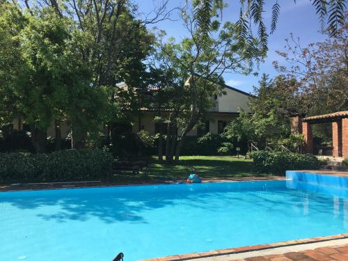 une grande piscine bleue en face d'une maison dans l'établissement Il palmento, à Santa Venerina