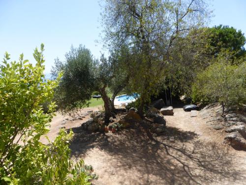 a tree on a sandy beach next to the ocean at Ha Mar ao Luar in Setúbal