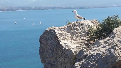 Gallery image of Ilm Cagliari in Cagliari