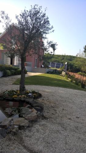 a tree in front of a house with a rock garden at Alto Belo in Felgueiras