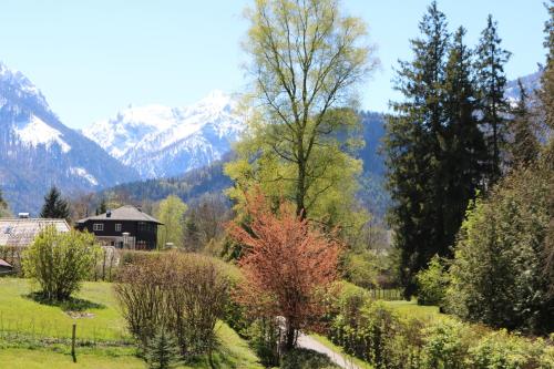 a view of a garden with mountains in the background at Haus Pöckl in Strobl