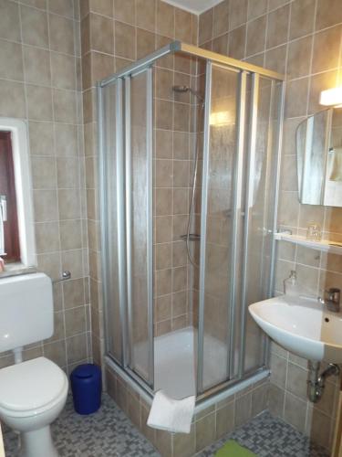 a bathroom with a shower and a toilet and a sink at Hotel garni Zum Reinhardswald in Gewissenruh