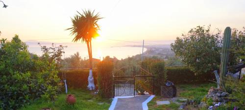 a view of a garden with a palm tree and a gate at Vasiliki Guest House in Kalamata