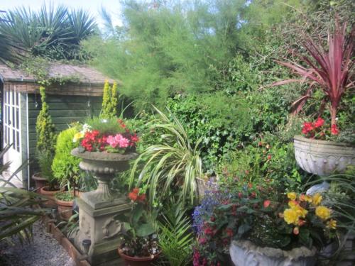 a garden with pots of flowers and plants at White Owl Holiday Apartments in Robin Hood's Bay