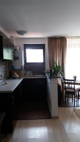 Kuchyň nebo kuchyňský kout v ubytování Snow Residence Azuga