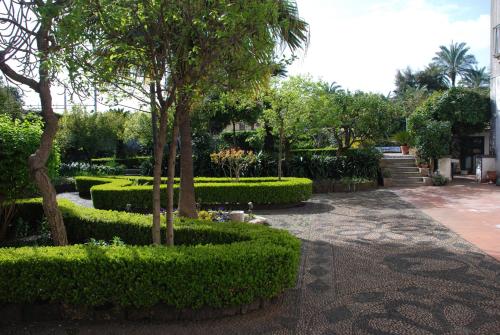 a garden with green hedges and trees and stairs at B&B Villa Maria in Giarre