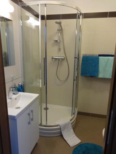 W łazience znajduje się prysznic i umywalka. w obiekcie Apartament Aquamarina w Świnoujściu
