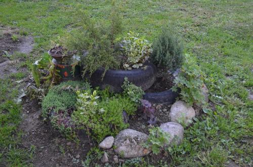 Zahrada ubytování Villa Ribarica