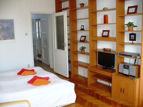 a bedroom with a bed and a tv and shelves at Castle Area Apartment in Budapest